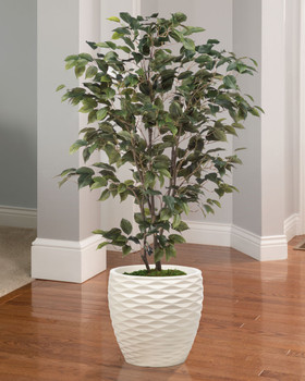 Silk Ficus Bush Plant. Available at Petals.