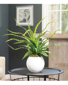 Bird Nest Fern<br>Faux Plant