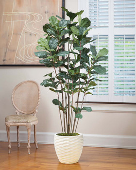 6' Fiddle Leaf Fig Silk Tree, by Petals.