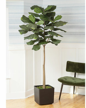 7' Faux Big Leaf Fiddle Fig Tree