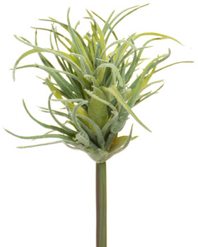 8" Artificial Tillandsia Air Plant Foliage Stem