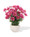 Garden Daisies Faux Flower Arrangement in Magenta