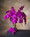 Dark Lavender Floppy Phalaenopsis Faux Foliage Orchid Stem