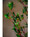 33" Wormwood Artificial Foliage Spray