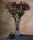 28" Budding Thistle Artificial Foliage Stem Spray in Burgundy.