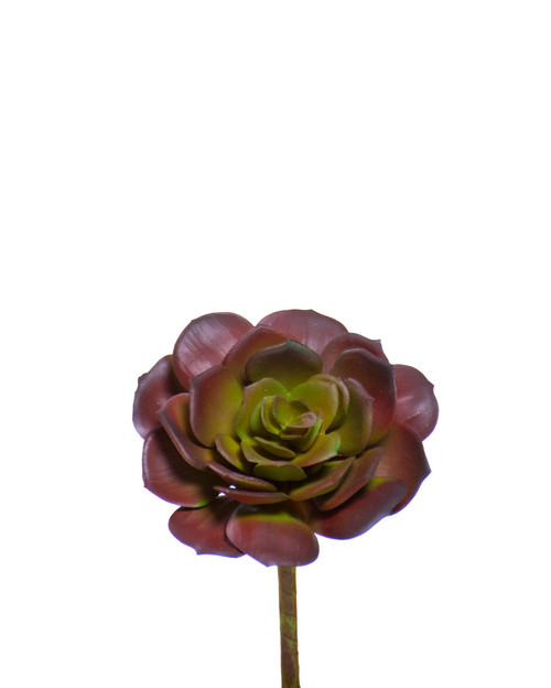 Faux Echeveria Pick Foliage Stem - 5.75" - Burgundy