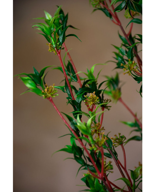 33" Wormwood Artificial Foliage Spray