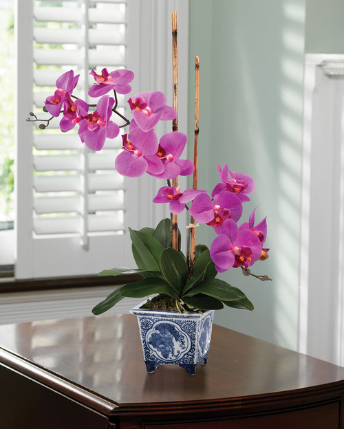 Faux Phalaenopsis Orchid Plant in Fuchsia.