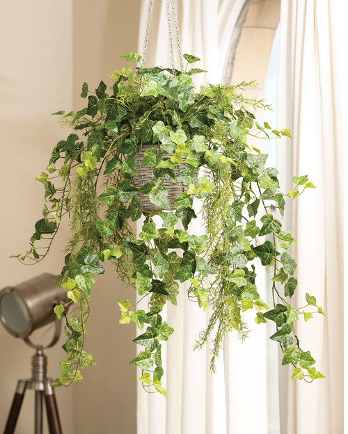 Hanging English Ivy Silk Foliage Planter