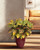 Double Croton Silk Floor Plant