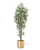 Greenhouse silk ficus tree by Petals.