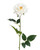 White Blown Open Rose Silk Flower Stem