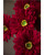 Red Silk Gerbera Daisy Flower Stem