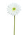 White Silk Gerbera Daisy Flower Stem