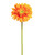 Orange Silk Gerbera Daisy Flower Stem