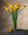 Orange Silk Calla Lily Bud Flower Stem