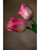 Pink Silk Tulip Flower Stem