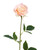 Blush/Coral Open Rose Silk Flower Stem