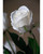 White Rose Bud Silk Flower Stem