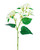 Cream Wild Lilac Silk Flower Stem Spray