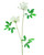 White Queen Anne Lace Faux Flower Stem Spray