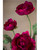 Wine Fluffy Ranunculus Silk Flower Stem Spray