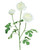 White Cream Fluffy Ranunculus Silk Flower Stem Spray