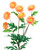 Peach Daisy Silk Flower Stem Spray