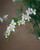 White Mini Freesia Faux Flower Stem Spray