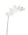 White Floppy Phalaenopsis Faux Foliage Orchid Stem