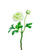 Light Green Silk Ranunculus Flower Stem Spray