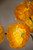 Golden Orange Poppy Silk Flower Stem Spray