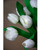 Faux Tulip Bundle in White.