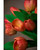 Faux Tulip Bundle in Coral.