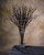 30" Faux Twig Foliage Stem Spray in Natural Brown and Black.