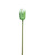 Water Lily Bud Faux Flower Stem - Cream