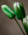 Water Lily Bud Faux Flower Stem - Cream