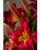 25" Tiger Lily Silk Flower Stem Spray in Brick Red.