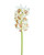30" Cymbidium Orchid Faux Flower Stem