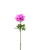 23" Anemone Silk Flower Stem in Cream Mauve.