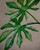 20" Faux Monstera Leaf Foliage Stem
