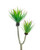 12" Artificial Agave Succulent Plant Foliage (x 2)