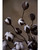 18' Faux Cotton Pod Foliage Stem Spray