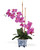 Faux Phalaenopsis Orchid Plant in Fuchsia.