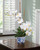 Faux Phalaenopsis Orchid Plant in White.