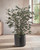 Lifelike faux olive tree plant with realistic green foliage and olive clusters, 34 inches high, styled as a decorative floor plant for living rooms, entryways, or indoor spaces