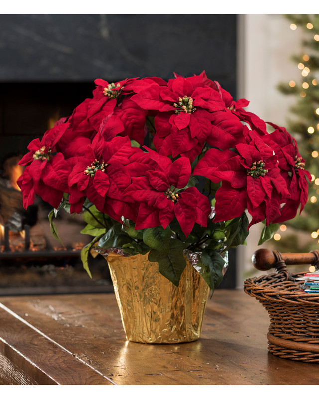 Premier Silk Poinsettia - Large