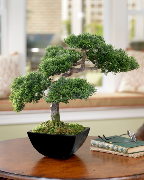 Cypress Bonsai Artificial Tree Petals Com