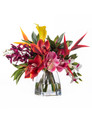 Orchids & Heliconia Tropical Silk Arrangement