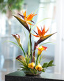 Bird of Paradise & Calla Lily